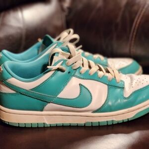 Nike Teal and White Sneakers